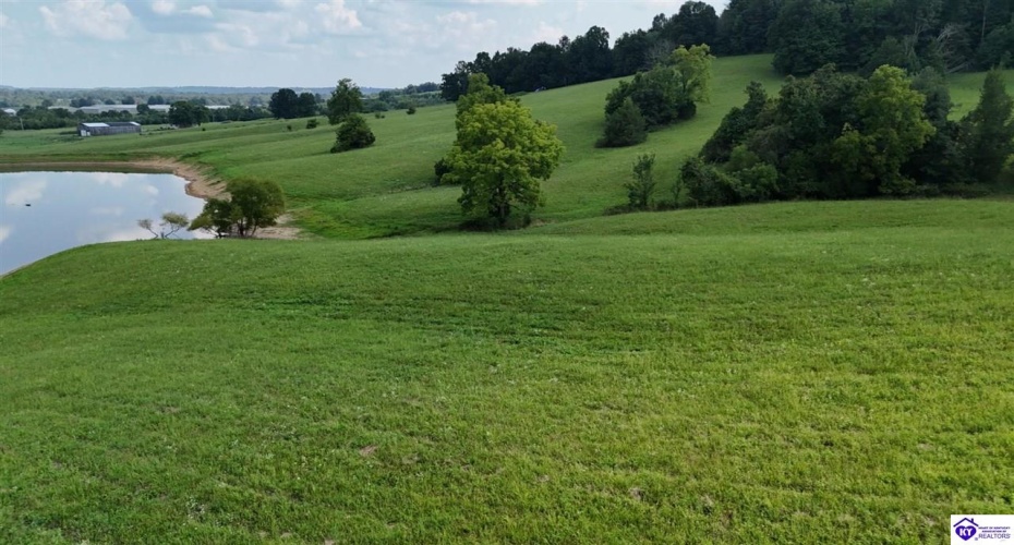 Troutman Lane, Clarkson, Kentucky 42726-9999, ,For Sale,Troutman Lane,HK24003079 Troutman Lane, Clarkson, Kentucky 42726-9999, ,For Sale,Troutman Lane,HK24003079