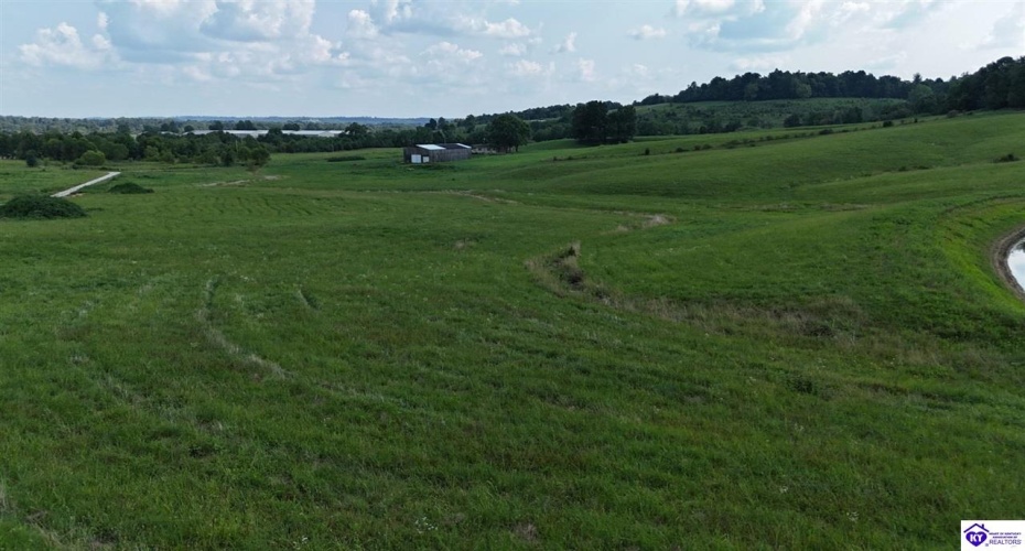 Troutman Lane, Clarkson, Kentucky 42726-9999, ,For Sale,Troutman Lane,HK24003080 Troutman Lane, Clarkson, Kentucky 42726-9999, ,For Sale,Troutman Lane,HK24003080