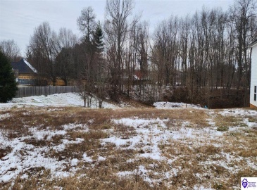 Brookhaven Drive, Vine Grove, Kentucky 40175, ,For Sale,Brookhaven Drive,HK24000181