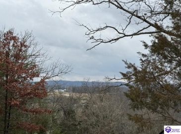 Hillcrest Loop, Falls Of Rough, Kentucky 40119, ,1 BathroomBathrooms,For Sale,Hillcrest Loop,HK24003102 Hillcrest Loop, Falls Of Rough, Kentucky 40119, ,1 BathroomBathrooms,For Sale,Hillcrest Loop,HK24003102