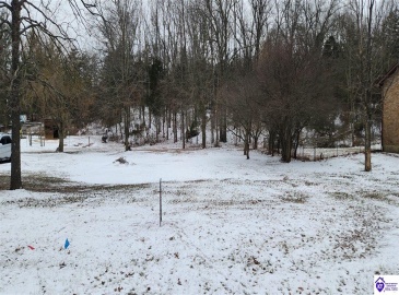 Ranch Road, Vine Grove, Kentucky 40175, ,For Sale,Ranch Road,HK24000182