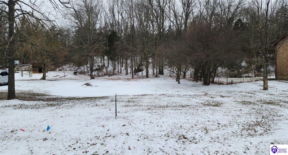 Ranch Road, Vine Grove, Kentucky 40175, ,For Sale,Ranch Road,HK24000182