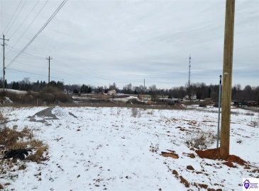 Otter Creek Road, Vine Grove, Kentucky 40175, ,For Sale,Otter Creek Road,HK24000188