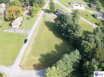 Trace Fork Road, Campbellsville, Kentucky 42718, ,For Sale,Trace Fork Road,HK24003110