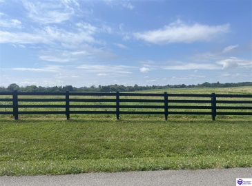 Thompson, Rineyville, Kentucky 40162, ,For Sale,Thompson,HK24003138