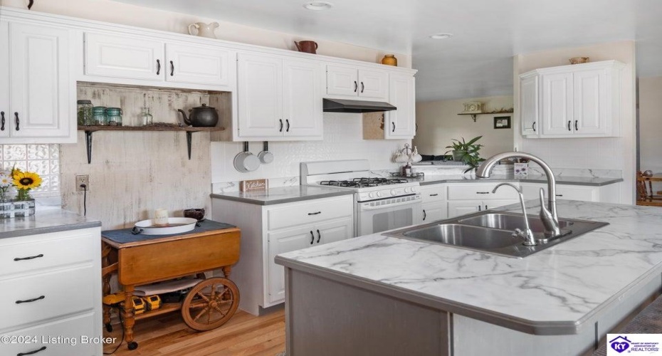 C T Hogan Lane, Hardyville, Kentucky 42746, ,2 BathroomsBathrooms,For Sale,C T Hogan Lane,HK24003139