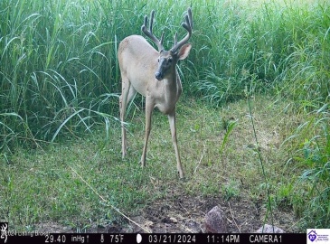 C T Hogan Lane, Hardyville, Kentucky 42746, ,2 BathroomsBathrooms,For Sale,C T Hogan Lane,HK24003139