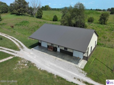 C T Hogan Lane, Hardyville, Kentucky 42746, ,2 BathroomsBathrooms,For Sale,C T Hogan Lane,HK24003139