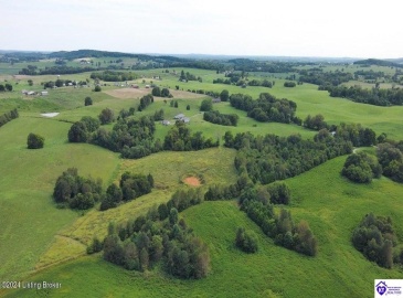 C T Hogan Lane, Hardyville, Kentucky 42746, ,2 BathroomsBathrooms,For Sale,C T Hogan Lane,HK24003139