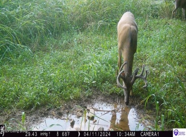 C T Hogan Lane, Hardyville, Kentucky 42746, ,2 BathroomsBathrooms,For Sale,C T Hogan Lane,HK24003139