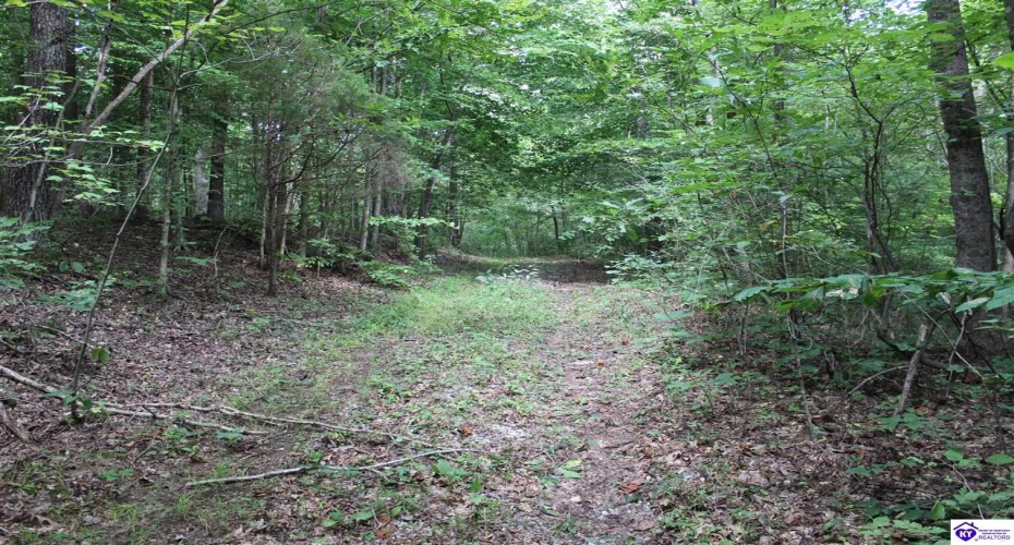 N. Hopewell Church Rd., Fordsville, Kentucky 42343, ,For Sale,N. Hopewell Church Rd.,HK24003166 N. Hopewell Church Rd., Fordsville, Kentucky 42343, ,For Sale,N. Hopewell Church Rd.,HK24003166