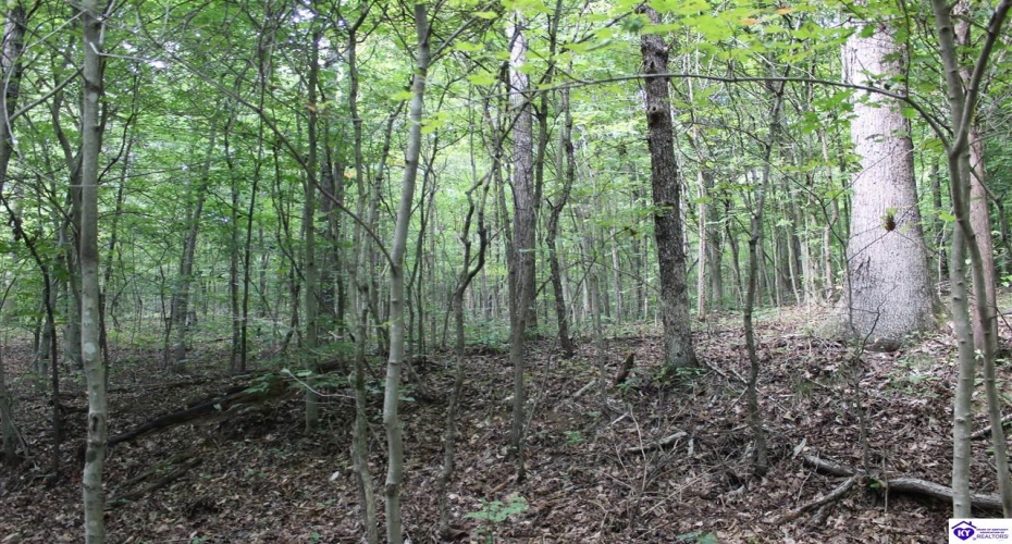 N. Hopewell Church Rd., Fordsville, Kentucky 42343, ,For Sale,N. Hopewell Church Rd.,HK24003166