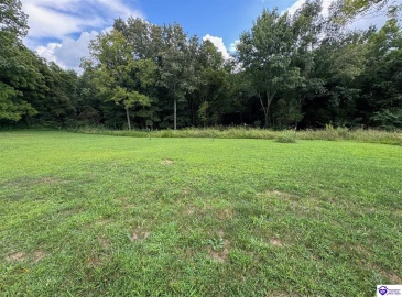 Parkview Shores Road, Scottsville, Kentucky 42764, ,2 BathroomsBathrooms,For Sale,Parkview Shores Road,HK24003167