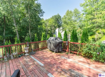 Mayapple Lane, Elizabethtown, Kentucky 42701, ,3 BathroomsBathrooms,For Sale,Mayapple Lane,HK24003215 Mayapple Lane, Elizabethtown, Kentucky 42701, ,3 BathroomsBathrooms,For Sale,Mayapple Lane,HK24003215