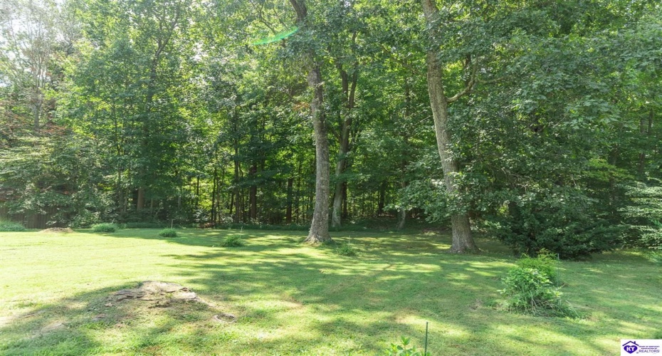 Mayapple Lane, Elizabethtown, Kentucky 42701, ,3 BathroomsBathrooms,For Sale,Mayapple Lane,HK24003215