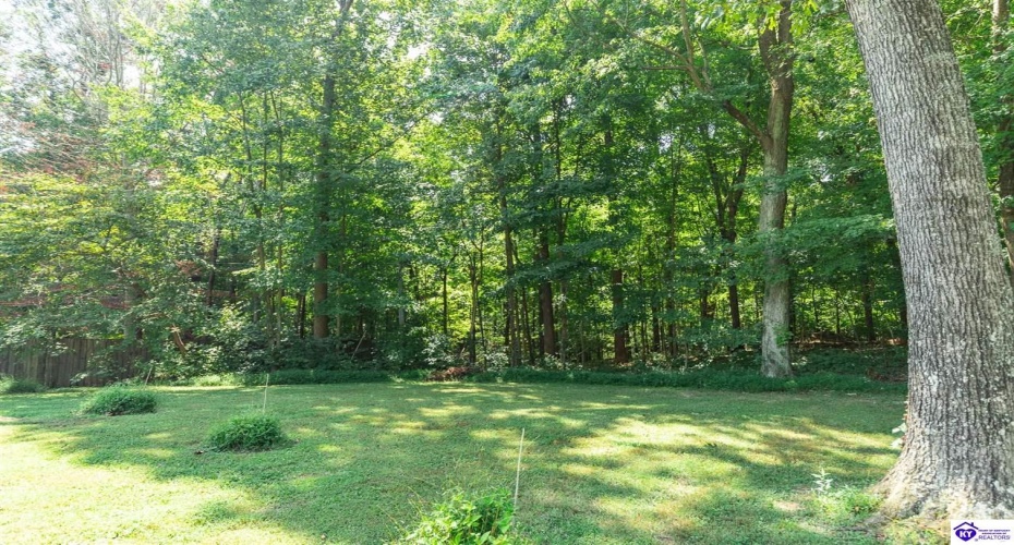 Mayapple Lane, Elizabethtown, Kentucky 42701, ,3 BathroomsBathrooms,For Sale,Mayapple Lane,HK24003215