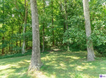 Mayapple Lane, Elizabethtown, Kentucky 42701, ,3 BathroomsBathrooms,For Sale,Mayapple Lane,HK24003215 Mayapple Lane, Elizabethtown, Kentucky 42701, ,3 BathroomsBathrooms,For Sale,Mayapple Lane,HK24003215