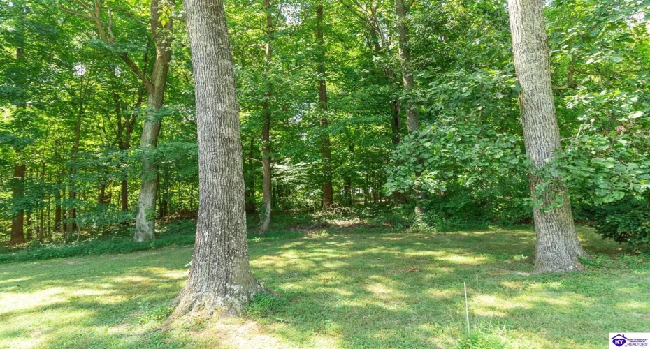 Mayapple Lane, Elizabethtown, Kentucky 42701, ,3 BathroomsBathrooms,For Sale,Mayapple Lane,HK24003215