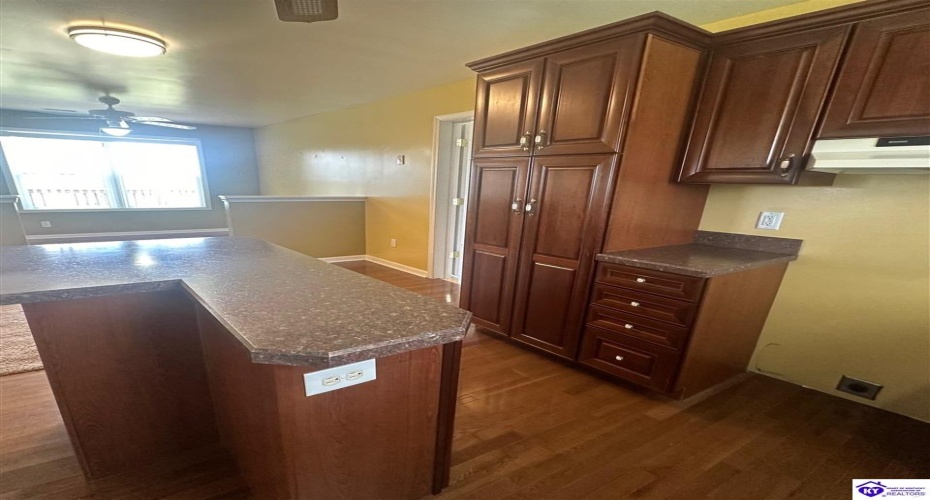 Jenkins Road, Rineyville, Kentucky 40162, ,3 BathroomsBathrooms,For Sale,Jenkins Road,HK24003227