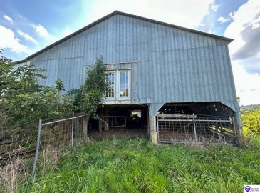 Smiley Basham Lane, Hudson, Kentucky 40145, ,For Sale,Smiley Basham Lane,HK24003236