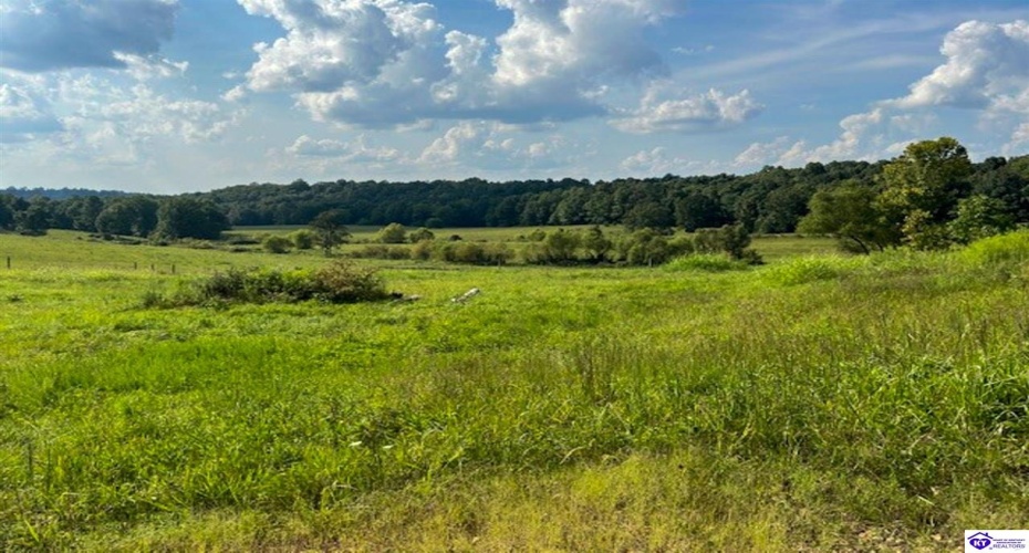 Smiley Basham Lane, Hudson, Kentucky 40145, ,For Sale,Smiley Basham Lane,HK24003236 Smiley Basham Lane, Hudson, Kentucky 40145, ,For Sale,Smiley Basham Lane,HK24003236