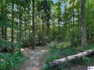 Moutardier Woods Road, Leitchfield, Kentucky 42754, ,3 BathroomsBathrooms,For Sale,Moutardier Woods Road,HK24003238 Moutardier Woods Road, Leitchfield, Kentucky 42754, ,3 BathroomsBathrooms,For Sale,Moutardier Woods Road,HK24003238