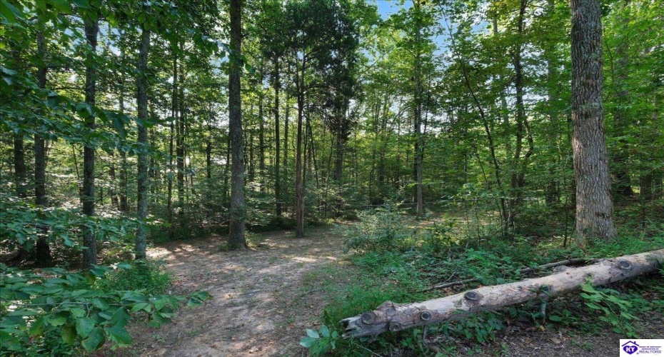 Moutardier Woods Road, Leitchfield, Kentucky 42754, ,3 BathroomsBathrooms,For Sale,Moutardier Woods Road,HK24003238 Moutardier Woods Road, Leitchfield, Kentucky 42754, ,3 BathroomsBathrooms,For Sale,Moutardier Woods Road,HK24003238