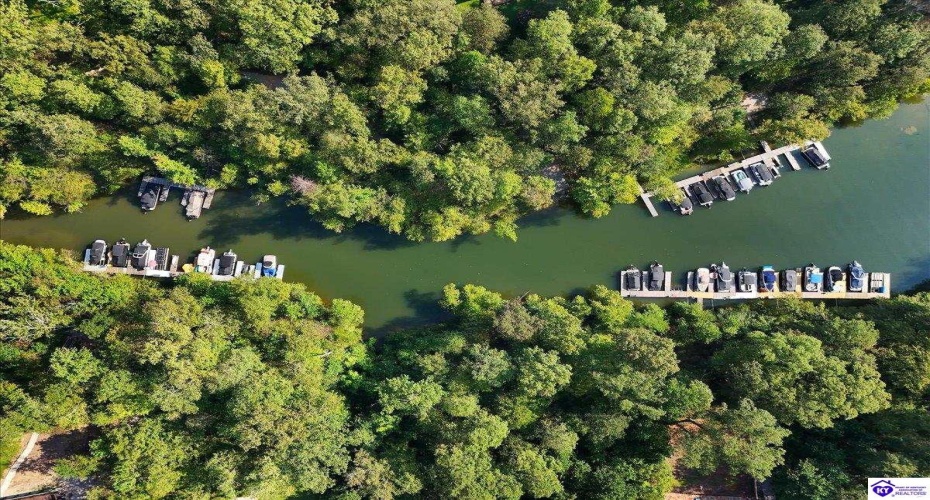 Moutardier Woods Road, Leitchfield, Kentucky 42754, ,3 BathroomsBathrooms,For Sale,Moutardier Woods Road,HK24003238 Moutardier Woods Road, Leitchfield, Kentucky 42754, ,3 BathroomsBathrooms,For Sale,Moutardier Woods Road,HK24003238