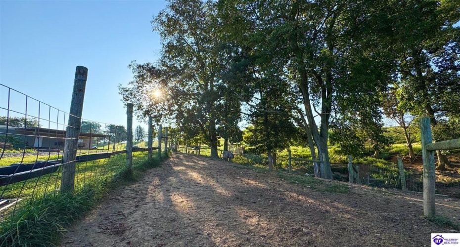 Joe Kerr Road, Campbellsville, Kentucky 42718, ,2 BathroomsBathrooms,For Sale,Joe Kerr Road,HK24003277 Joe Kerr Road, Campbellsville, Kentucky 42718, ,2 BathroomsBathrooms,For Sale,Joe Kerr Road,HK24003277