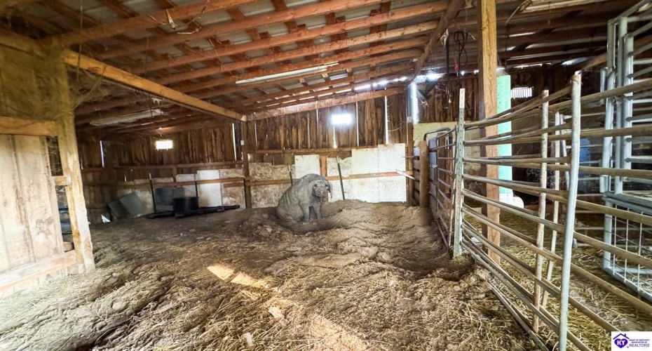 Joe Kerr Road, Campbellsville, Kentucky 42718, ,2 BathroomsBathrooms,For Sale,Joe Kerr Road,HK24003277 Joe Kerr Road, Campbellsville, Kentucky 42718, ,2 BathroomsBathrooms,For Sale,Joe Kerr Road,HK24003277