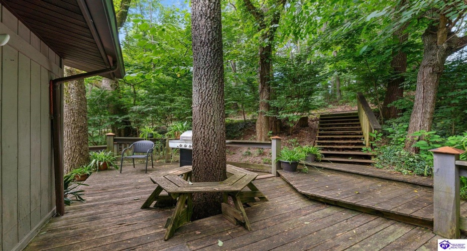 Harper Cemetery Road, Munfordville, Kentucky 42765, ,2 BathroomsBathrooms,For Sale,Harper Cemetery Road,HK24002095 Harper Cemetery Road, Munfordville, Kentucky 42765, ,2 BathroomsBathrooms,For Sale,Harper Cemetery Road,HK24002095