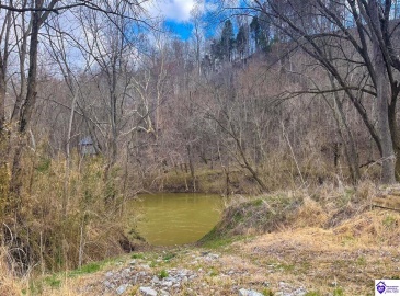 Caven Bend Road, Greensburg, Kentucky 42743, ,For Sale,Caven Bend Road,HK24000681 Caven Bend Road, Greensburg, Kentucky 42743, ,For Sale,Caven Bend Road,HK24000681