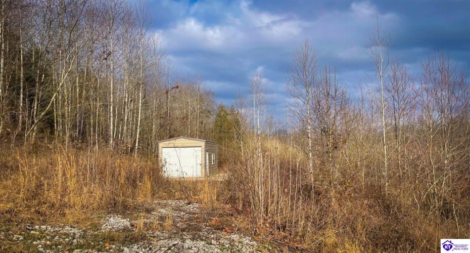 Caven Bend Road, Greensburg, Kentucky 42743, ,For Sale,Caven Bend Road,HK24000681 Caven Bend Road, Greensburg, Kentucky 42743, ,For Sale,Caven Bend Road,HK24000681