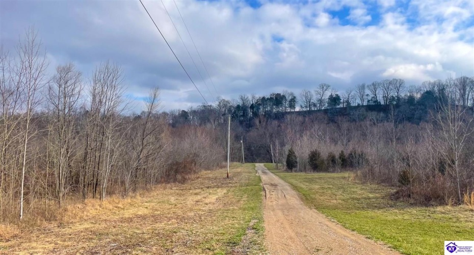 Caven Bend Road, Greensburg, Kentucky 42743, ,For Sale,Caven Bend Road,HK24000681 Caven Bend Road, Greensburg, Kentucky 42743, ,For Sale,Caven Bend Road,HK24000681