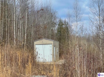 Caven Bend Road, Greensburg, Kentucky 42743, ,For Sale,Caven Bend Road,HK24000681 Caven Bend Road, Greensburg, Kentucky 42743, ,For Sale,Caven Bend Road,HK24000681