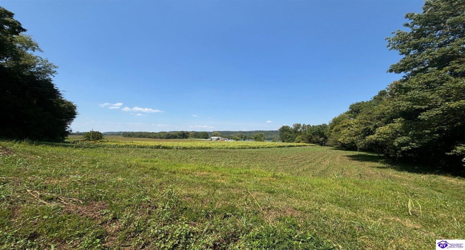 Russell Landing Road, Brandenburg, Kentucky 40108, ,For Sale,Russell Landing Road,HK24002953