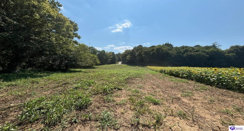 Russell Landing Road, Brandenburg, Kentucky 40108, ,For Sale,Russell Landing Road,HK24002953