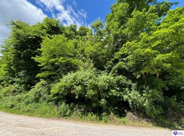 Russell Landing Road, Brandenburg, Kentucky 40108, ,For Sale,Russell Landing Road,HK24002953 Russell Landing Road, Brandenburg, Kentucky 40108, ,For Sale,Russell Landing Road,HK24002953