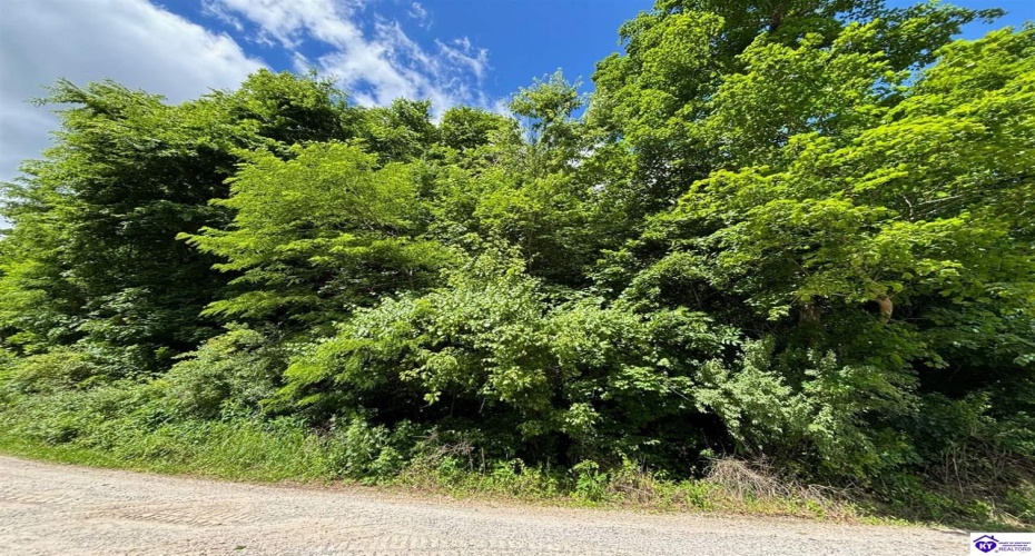 Russell Landing Road, Brandenburg, Kentucky 40108, ,For Sale,Russell Landing Road,HK24002953