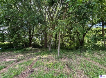 Russell Landing Road, Brandenburg, Kentucky 40108, ,For Sale,Russell Landing Road,HK24002953 Russell Landing Road, Brandenburg, Kentucky 40108, ,For Sale,Russell Landing Road,HK24002953