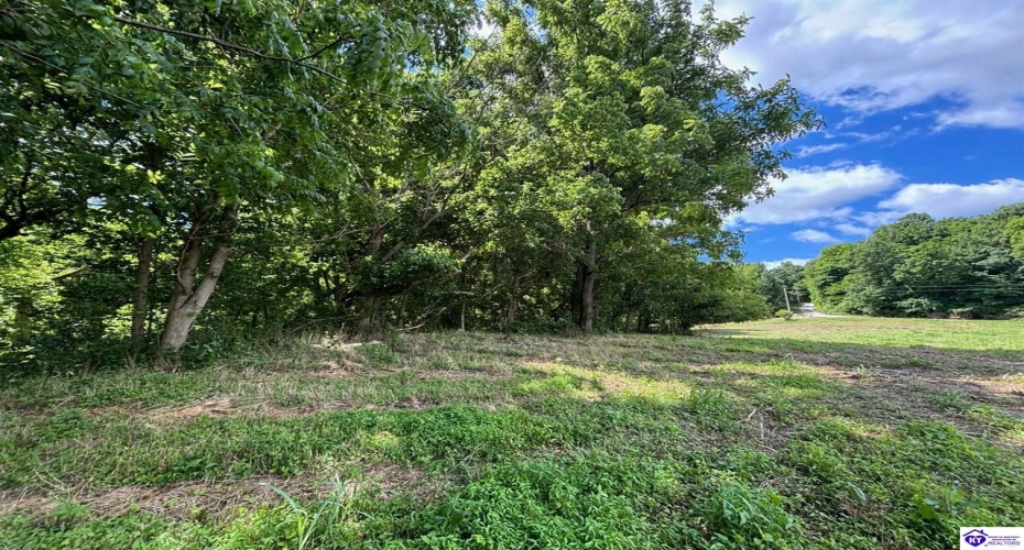 Russell Landing Road, Brandenburg, Kentucky 40108, ,For Sale,Russell Landing Road,HK24002953