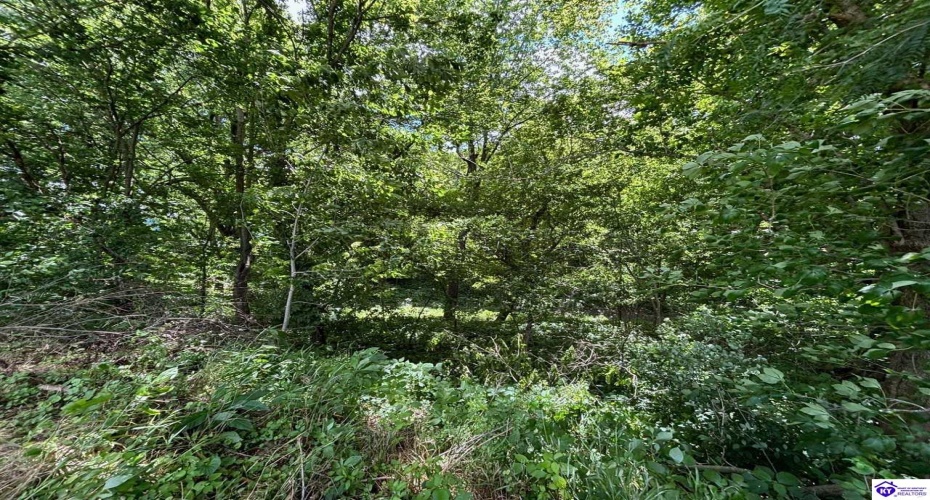 Russell Landing Road, Brandenburg, Kentucky 40108, ,For Sale,Russell Landing Road,HK24002953