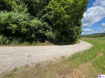 Russell Landing Road, Brandenburg, Kentucky 40108, ,For Sale,Russell Landing Road,HK24002953 Russell Landing Road, Brandenburg, Kentucky 40108, ,For Sale,Russell Landing Road,HK24002953