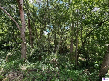 Russell Landing Road, Brandenburg, Kentucky 40108, ,For Sale,Russell Landing Road,HK24002953 Russell Landing Road, Brandenburg, Kentucky 40108, ,For Sale,Russell Landing Road,HK24002953