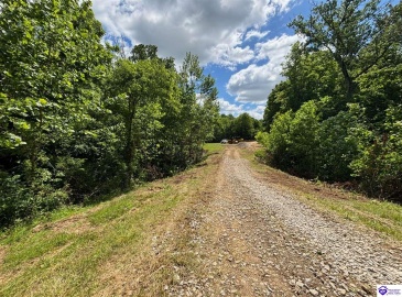 Russell Landing Road, Brandenburg, Kentucky 40108, ,For Sale,Russell Landing Road,HK24002953 Russell Landing Road, Brandenburg, Kentucky 40108, ,For Sale,Russell Landing Road,HK24002953