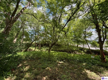 Russell Landing Road, Brandenburg, Kentucky 40108, ,For Sale,Russell Landing Road,HK24002953 Russell Landing Road, Brandenburg, Kentucky 40108, ,For Sale,Russell Landing Road,HK24002953