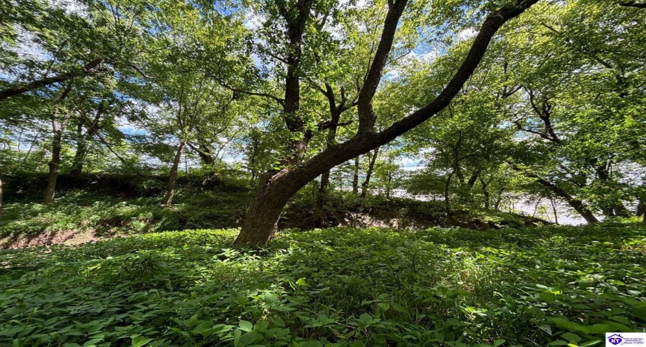 Russell Landing Road, Brandenburg, Kentucky 40108, ,For Sale,Russell Landing Road,HK24002953