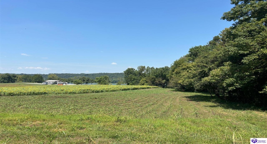 Russell Landing Road, Brandenburg, Kentucky 40108, ,For Sale,Russell Landing Road,HK24002953