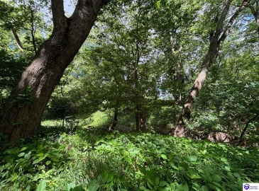 Russell Landing Road, Brandenburg, Kentucky 40108, ,For Sale,Russell Landing Road,HK24002953 Russell Landing Road, Brandenburg, Kentucky 40108, ,For Sale,Russell Landing Road,HK24002953