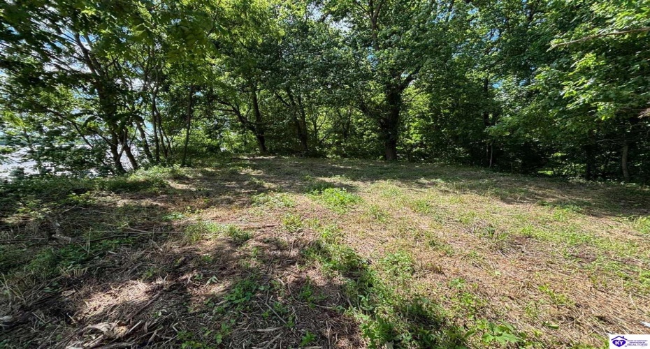 Russell Landing Road, Brandenburg, Kentucky 40108, ,For Sale,Russell Landing Road,HK24002953